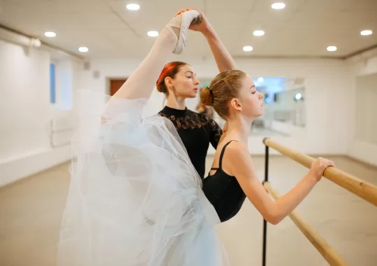 Görsel ALT Başlığı